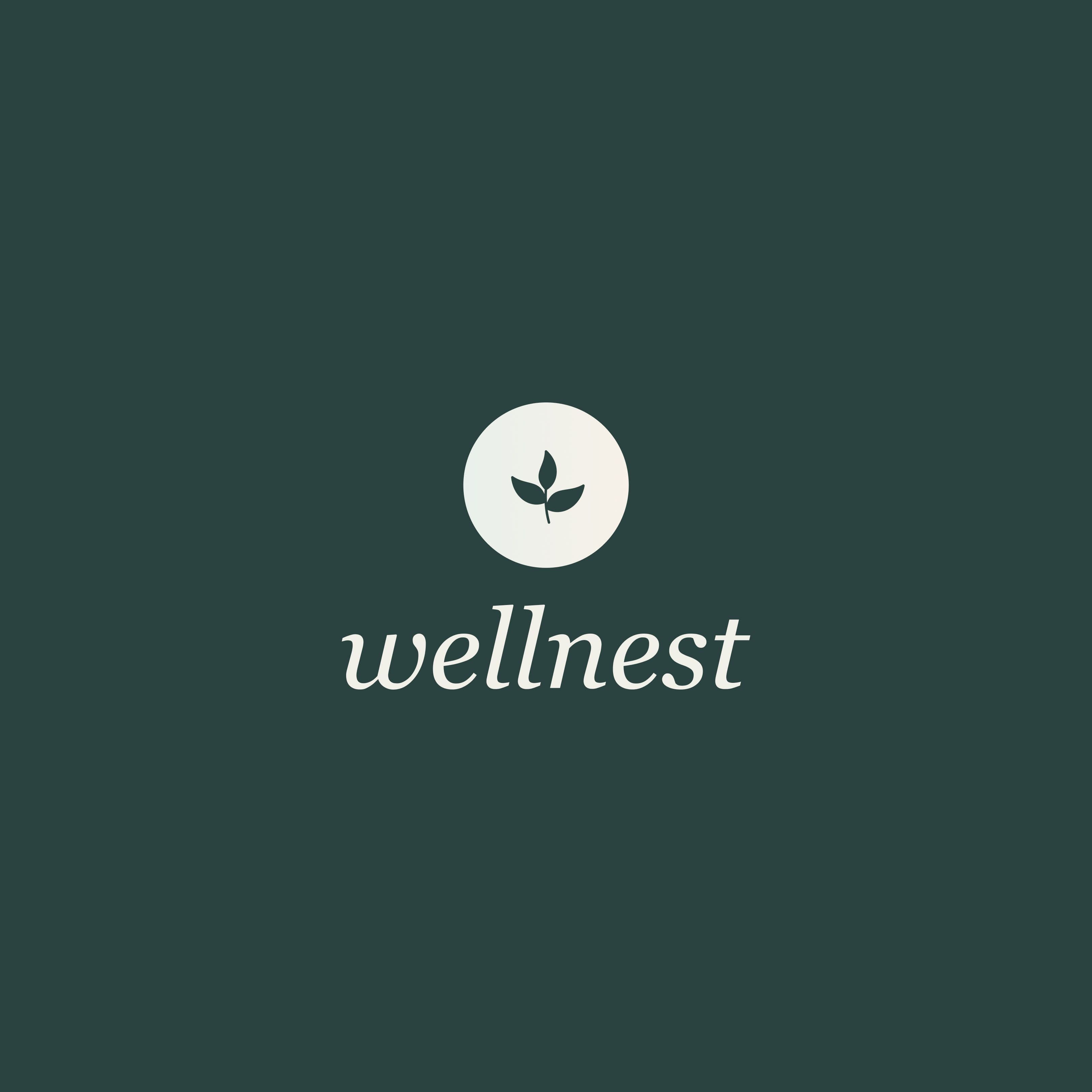 What is Wellnest? Simplifying Support During Health Journeys